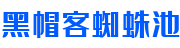 黑帽客蜘蛛池系统